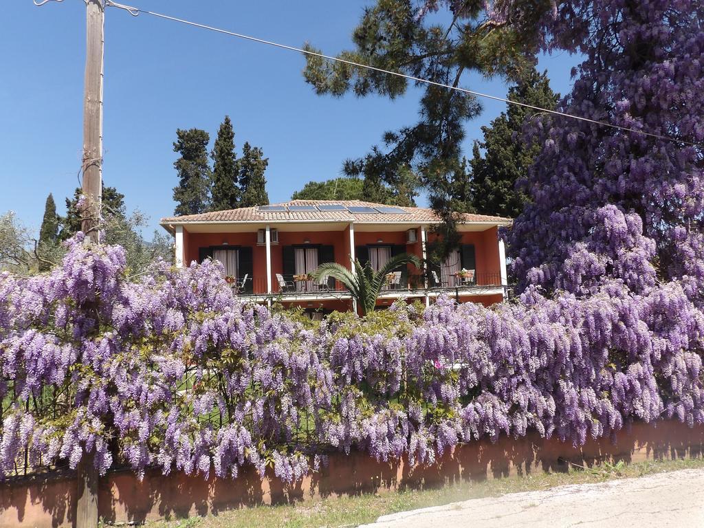 Dassia Beach Pension Екстер'єр фото